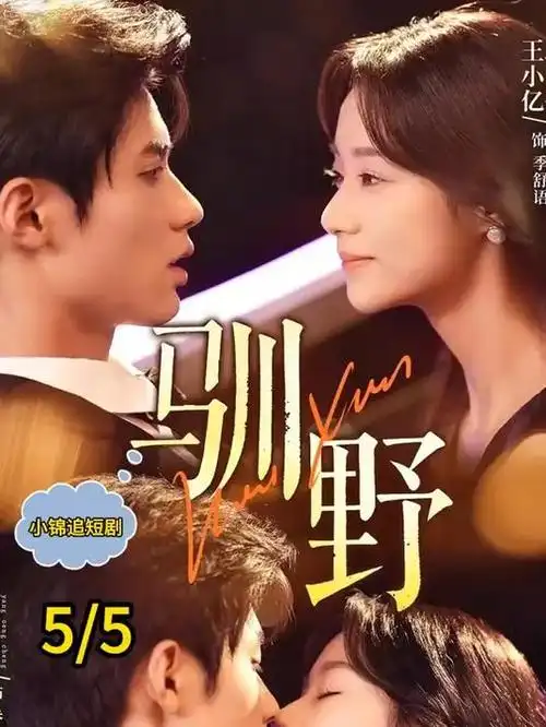 纪录片铁轨与麦田的图鉴封面图，铁轨与麦田的构图示意